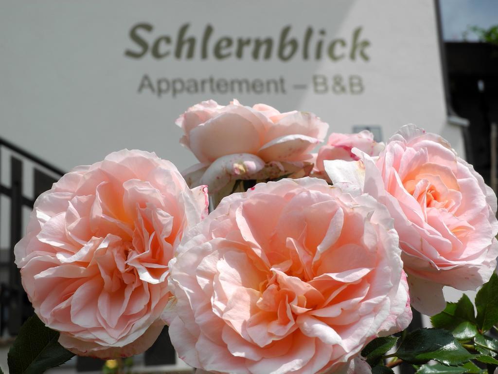 Haus Schlernblick Apartment Nova Ponente Exterior photo